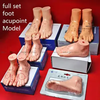 Medical HD foot acupoint Model Adult child acupuncture needle model masažna model za njegu stopala Meridijan акупунктурная refleksne zone